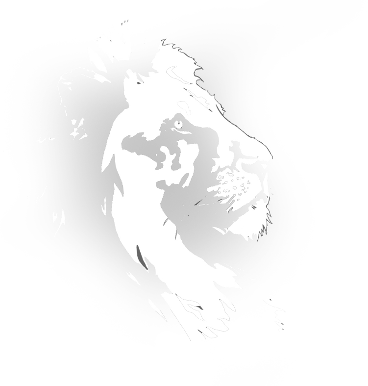 Image lion